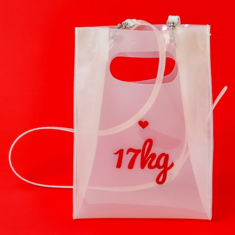 【新刊情報】17kg（イチナナキログラム） CLEAR BAG BOOK発売