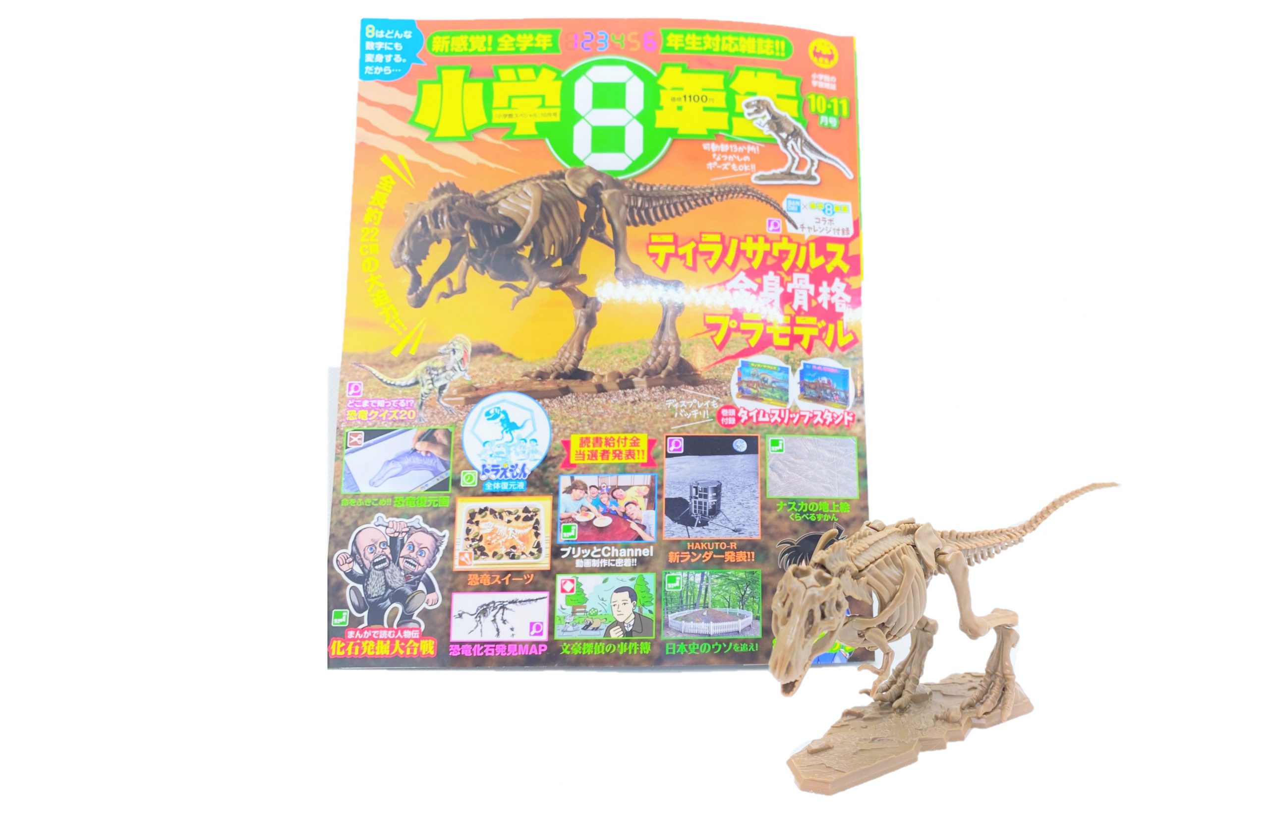 開封レビュー 小学8年生年10 11月号 特別付録 Bandai バンダイ 小学8年生コラボ ティラノサウルス全身骨格プラモデル 付録ライフ