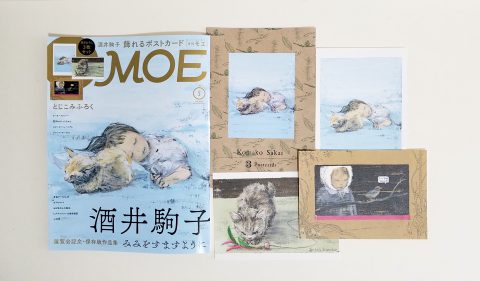 【開封レビュー】MOE（モエ）2021年5月号《特別付録》酒井駒子描きおろし「飾れるポストカード」3枚セット