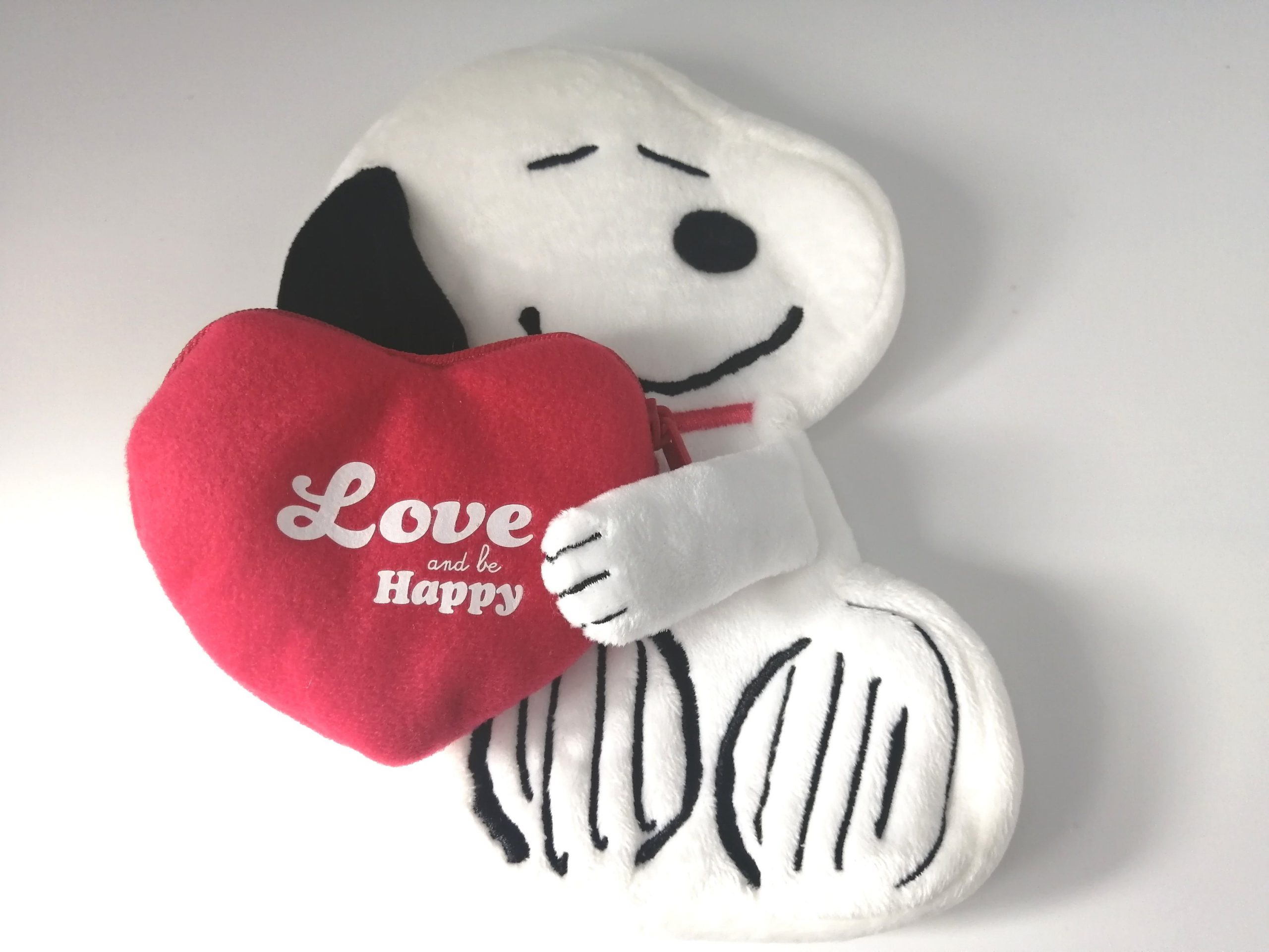 フラゲレビュー リンネル 21年10月号 特別付録 Snoopy スヌーピー ハートを抱っこ スヌーピーのふわふわwポーチ 付録ライフ